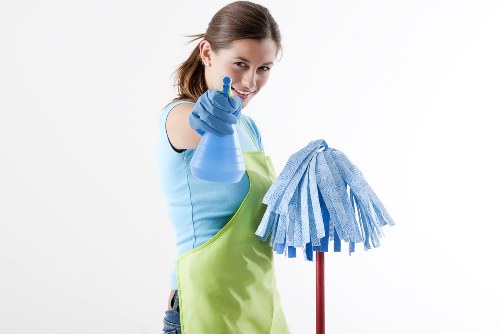 Professional deep cleaning service in a modern home