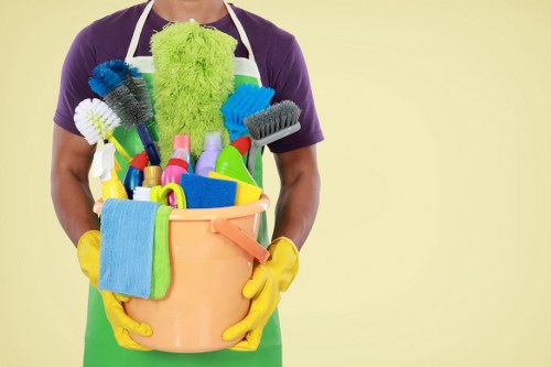 Professional cleaners in a modern home setting