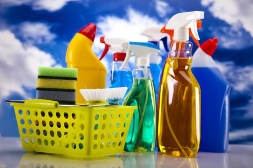 Professional cleaning team working in a modern home in Arnos Grove