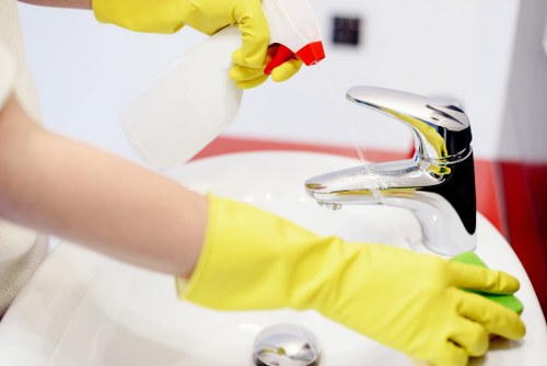 Experienced cleaners working on an oven