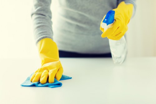Professional cleaners using advanced equipment